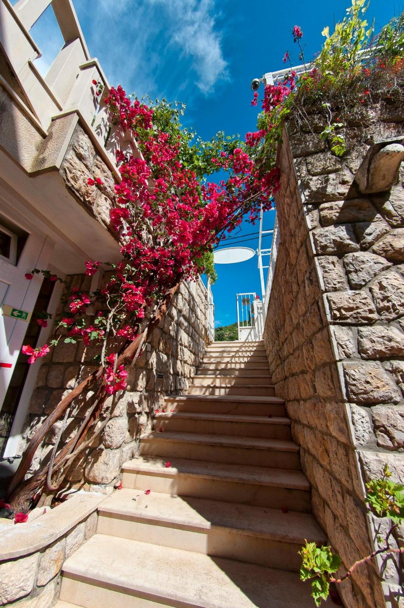 Villa Ana 2 Zaton  Exteriör bild